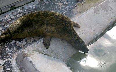 Photos taken by Hollie Stephenson