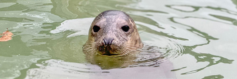 Idris Elba - 28th December 2023