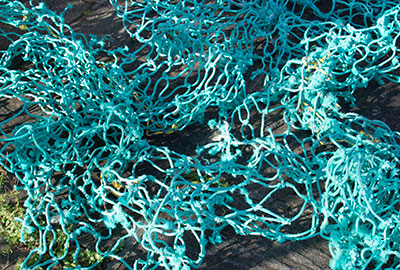 Entangled Netting