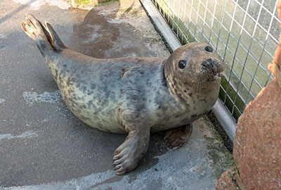 Isabel on 23rd February 2018