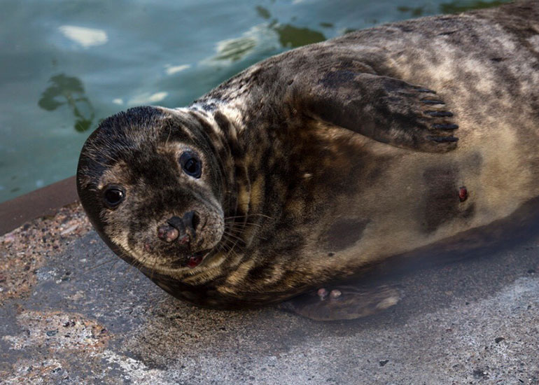 Photo taken by Izzy Brett - 7th March 2018