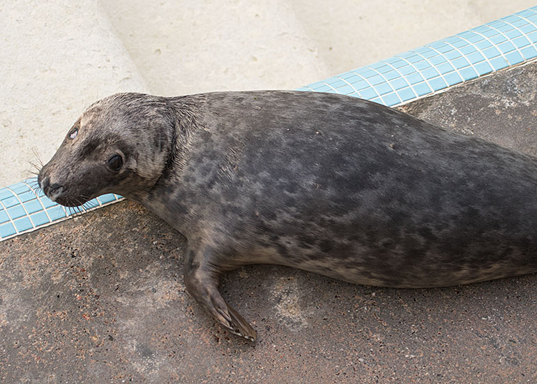 One Eye Jack - photo taken on 28th December 2015