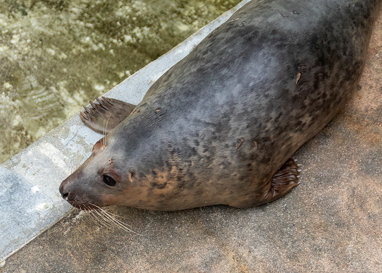 Jammie Dodgers - Photo taken on 15th May 2021