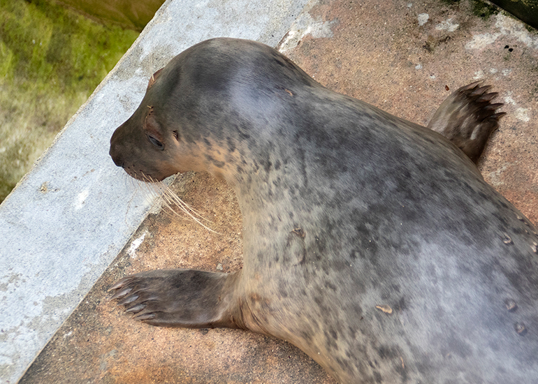 Jammie Dodgers - Photo taken on 15th May 2021