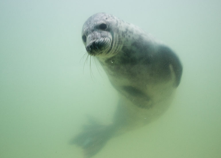 Jenga - photo taken on 27th December 2015