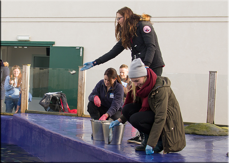 Jessica-Jane Applegate MBE visits the Hunstanton SEA LIFE Sanctuary on 26th November 2016