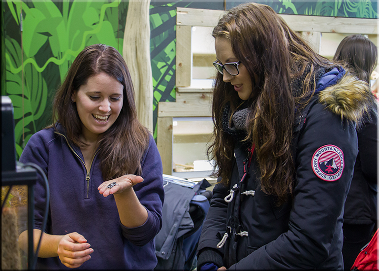 Jessica-Jane Applegate MBE visits the Hunstanton SEA LIFE Sanctuary on 26th November 2016
