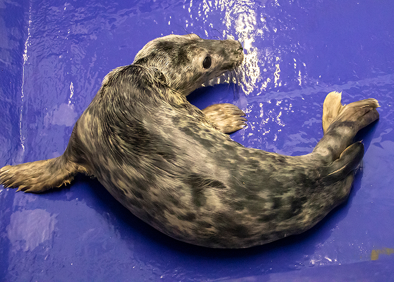 Jurgen - Photo taken on 17th June 2021