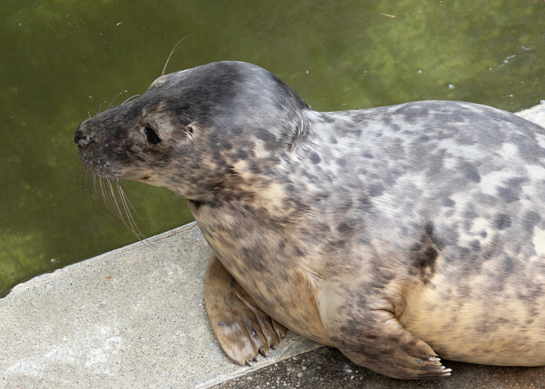 Jurgen - Photo taken on 31st July 2021