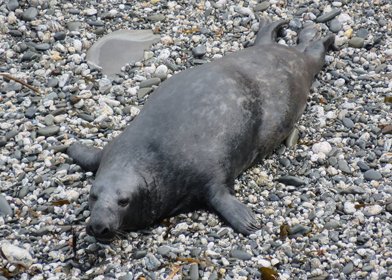 Ken photo taken by Sue Sayer on 18th April 2015