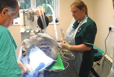 Kerplunk having the operation