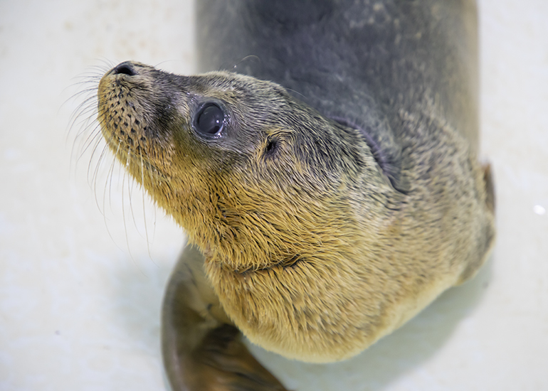 Kylie - photo taken on 14th July 2019