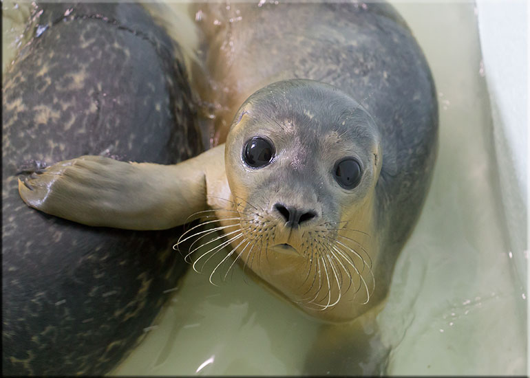 Lara - photo taken on 23rd July 2016