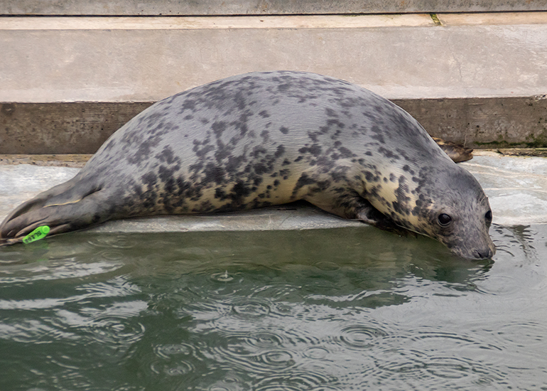 Liz - Photo taken on 30th October 2020