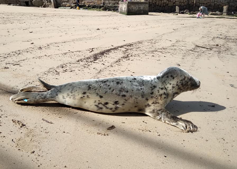 Photo Credit - Billy Nason - BDMLR