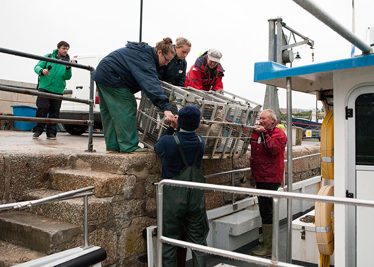 Seal Release - 27th August 2014