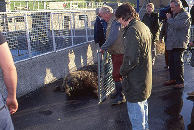 Magnus moved to Cornwall on 31st October 1990