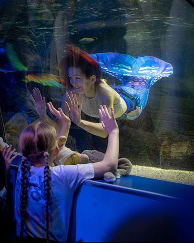 Mer-people - 22nd or 23rd August 2023