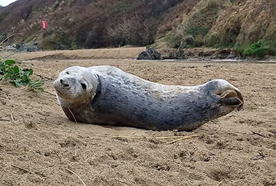 Miss Pacman - Photo credit : Dave Hudson