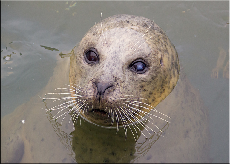 Aquarium photos