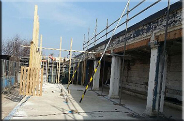 The start of a Super New Seal Hospital