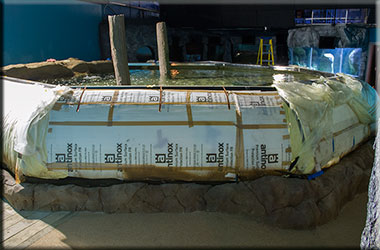 Hunstanton Sea Life Sanctuary