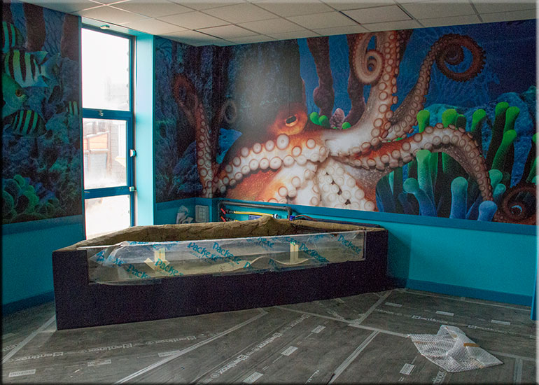 Hunstanton SEA LIFE Sanctuary