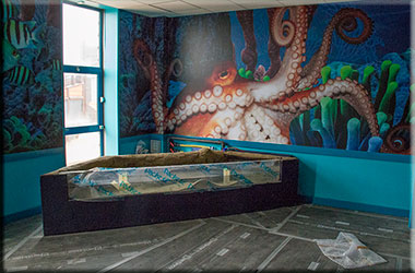 Hunstanton SEA LIFE Sanctuary