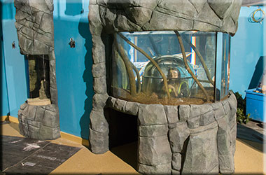 Hunstanton SEA LIFE Sanctuary