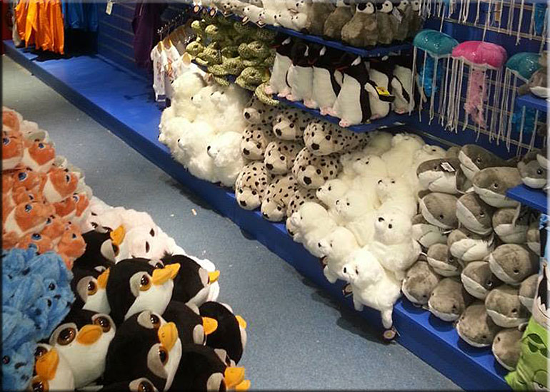 Hunstanton SEA LIFE Sanctuary