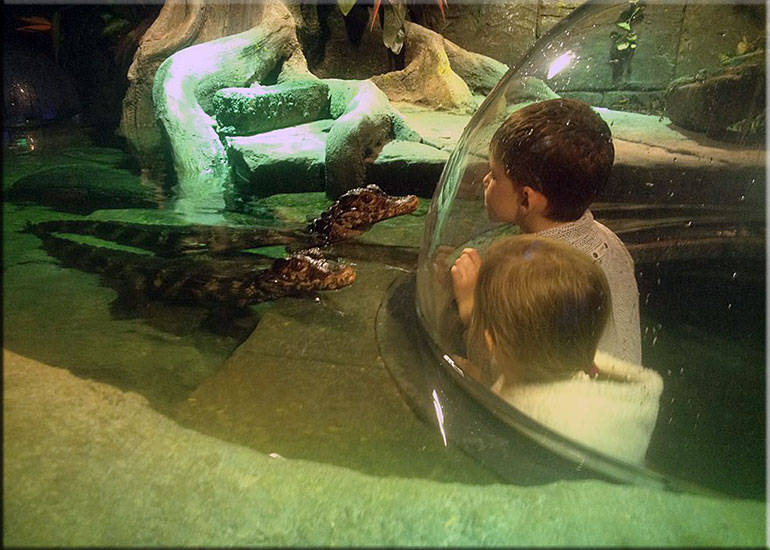 Hunstanton SEA LIFE Sanctuary