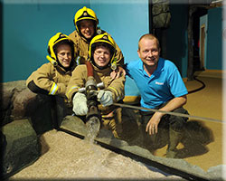 Fire Service filling up the seal enclosure