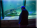 Hunstanton SEA LIFE Sanctuary - 15th October 2014