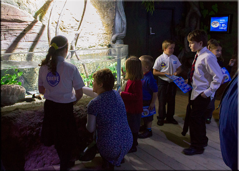 Hunstanton SEA LIFE Sanctuary