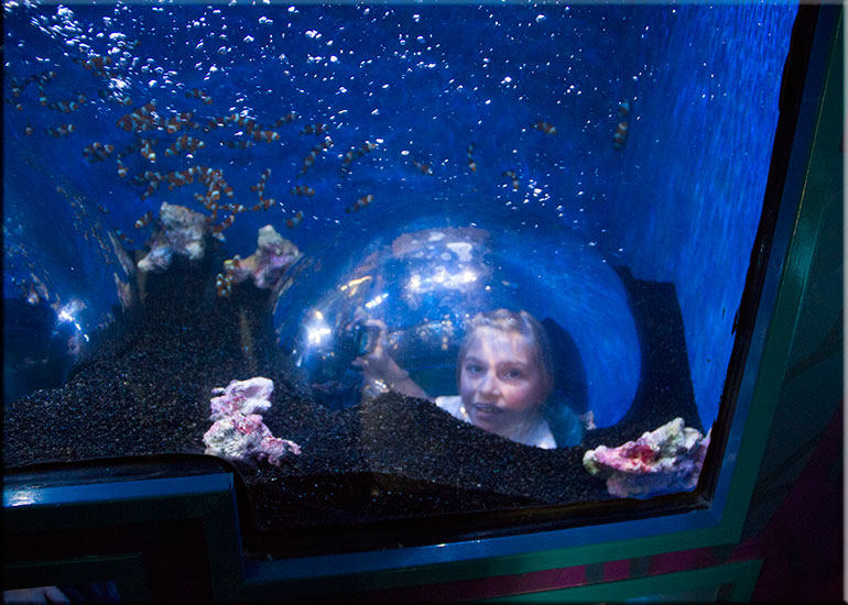Hunstanton SEA LIFE Sanctuary
