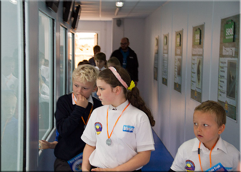 Hunstanton SEA LIFE Sanctuary