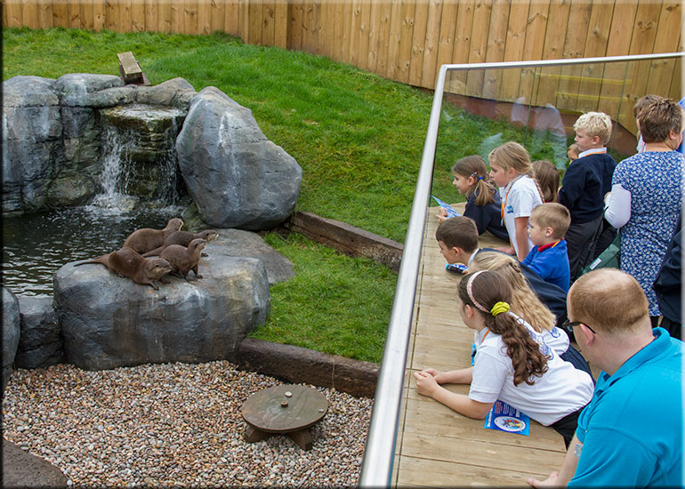 Hunstanton SEA LIFE Sanctuary