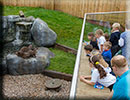 Hunstanton SEA LIFE Sanctuary - 15th October 2014