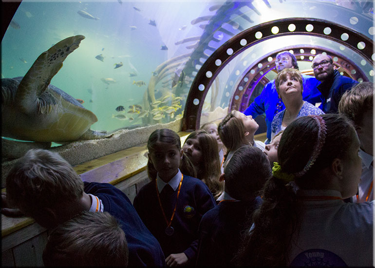 Hunstanton SEA LIFE Sanctuary