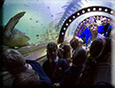 Hunstanton SEA LIFE Sanctuary - 15th October 2014