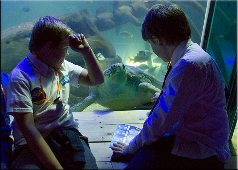 Hunstanton SEA LIFE Sanctuary