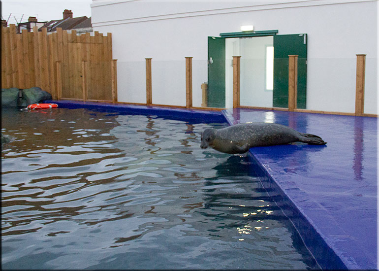 Hunstanton SEA LIFE Sanctuary