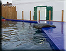 Hunstanton SEA LIFE Sanctuary - 15th October 2014