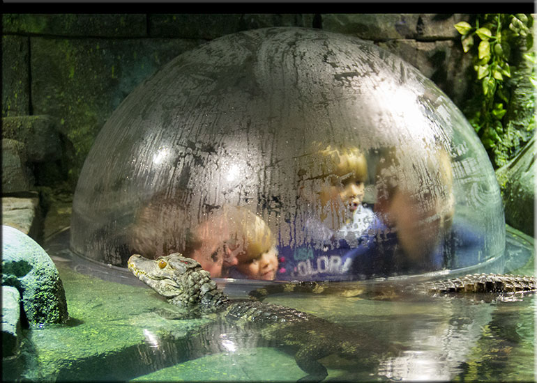 Hunstanton SEA LIFE Sanctuary