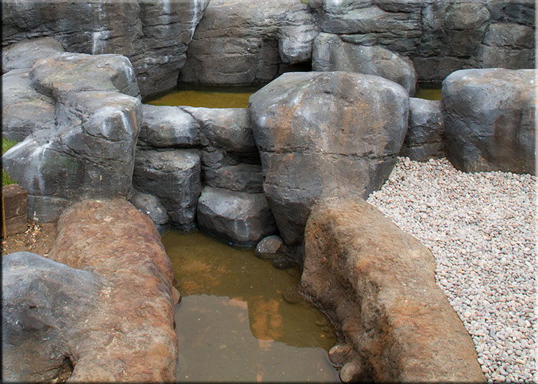 Hunstanton SEA LIFE Sanctuary