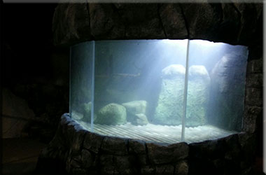 Hunstanton SEA LIFE Sanctuary