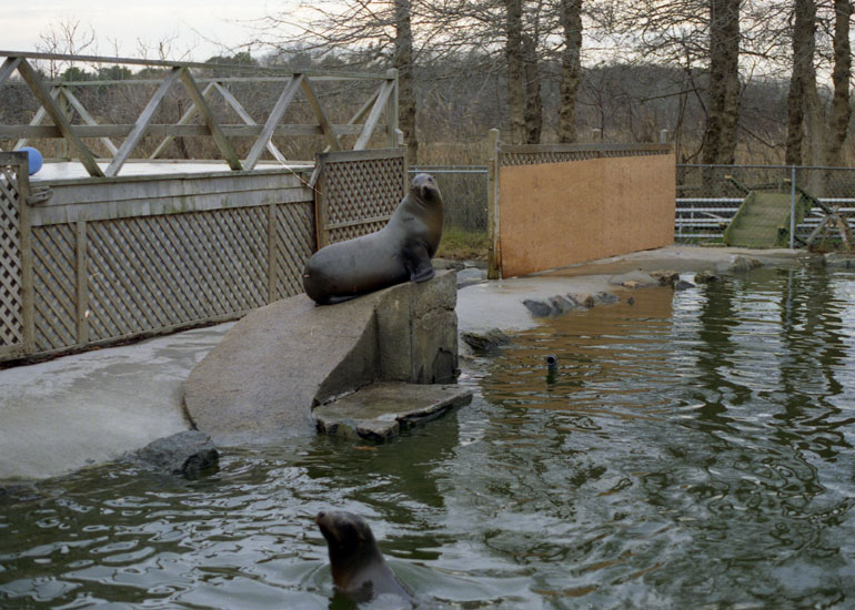 Aquarium in Cape Cod in the USA