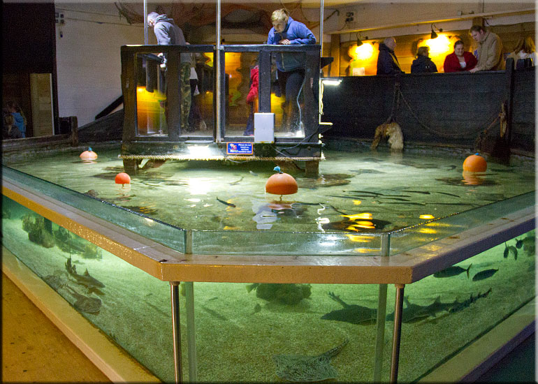 Aquarium