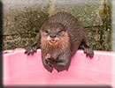 Scarborough SEA LIFE Sanctuary - 22nd August 2014