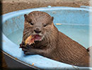 Scarborough SEA LIFE Sanctuary - 22nd August 2014